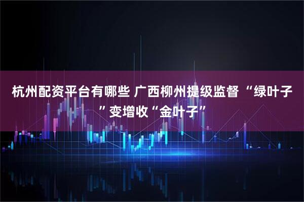 杭州配资平台有哪些 广西柳州提级监督 “绿叶子”变增收“金叶子”